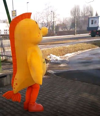 Kto chce odwiedzić firmę tworzącą profesjonalne kostiumy reklamowe? Ryba