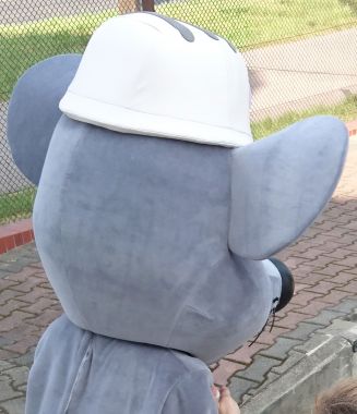 Strój myszki szarej który uświetni każdą imprezę