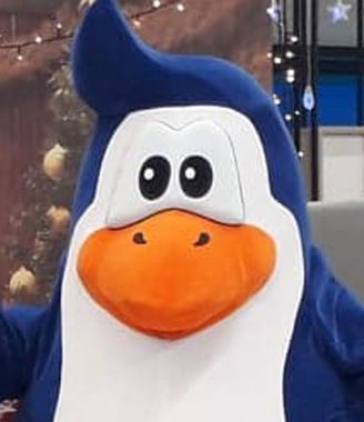 Jak rozpocząć współpracę z firmą Elabika? Pingwin