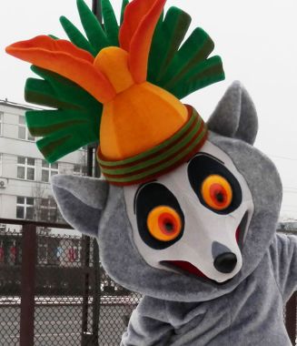 Strój lemur, czyli pościemniajmy coś na temat postanowień noworocznych