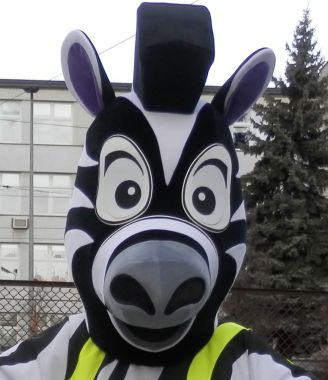 Pluszowa zebra w czarno-białe paski obok której nie można przejść obojętnie