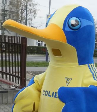 Coś jak liryzm struna brzękła, o kolibra się przelękła