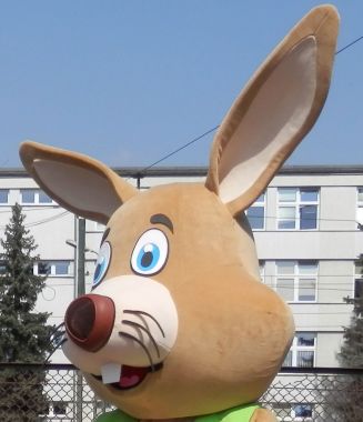 Zwariowany Zając Oliwkowy, przygoda w kolorze beżowym!
