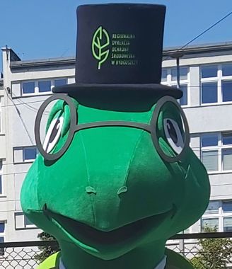 Twardym trza być, a nie mientkim - filozofia skorupy żółwia
