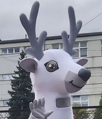 Powrót do przeszłości, czyli szanuj zieleń - nie bądź jeleń!