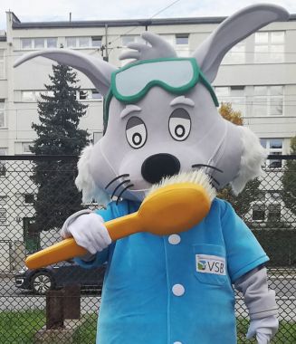  Sama szczotka podłogi nie zamiecie, dlatego proponujemy kostium zająca!