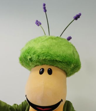Twoja szczypta magii, przeto postaw na przebranie za zielonego stworka!