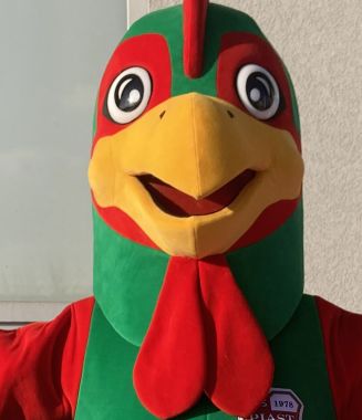 Zainwestuj w maskotkę Elabika, czyli jak strój reklamowy koguta może ożywić Twoją markę!