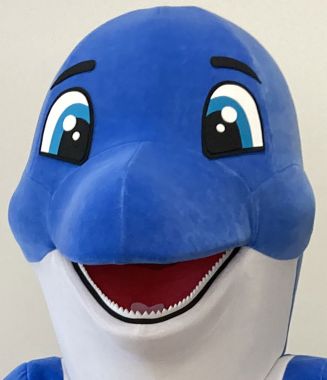 
Twoja reklama w rytmie oceanicznych fal! Zanurkuj do Elabiki po kostium maskotki niebieskiego delfina!
