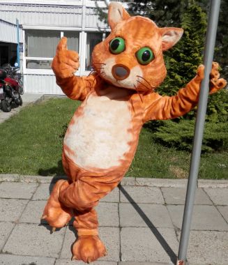 Nigdy nie rób tych 3 rzeczy, jeśli chcesz zamówić świetne stroje reklamowe, jak Kot