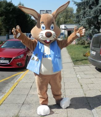 Szkolne stroje maskotki dla dorosłych, czyli Zając Mieszko