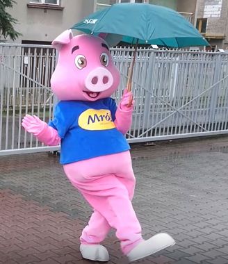 Elabika stroje reklamowe dla działalności zintegrowanej, czyli Świnia Mróz