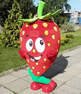 Wszystkie informacje, którymi dysponujesz, zamawiając stroje reklamowe. Truskawka Alik & Syn