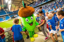 Elabika stroje reklamowe producent Żołądź Dąbex