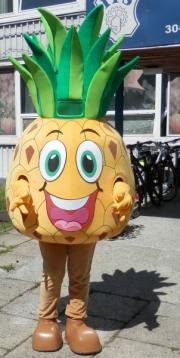 Elabika stroje reklamowe producent Stowarzyszenie Pomocy Dzieciom Ananas