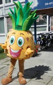 Elabika stroje reklamowe producent Stowarzyszenie Pomocy Dzieciom Ananas