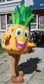 Elabika stroje reklamowe producent Stowarzyszenie Pomocy Dzieciom Ananas