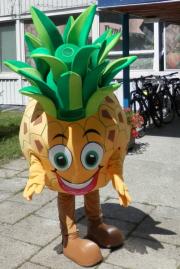 Elabika stroje reklamowe producent Stowarzyszenie Pomocy Dzieciom Ananas