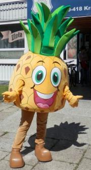 Elabika stroje reklamowe producent Stowarzyszenie Pomocy Dzieciom Ananas