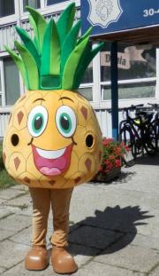 Elabika stroje reklamowe producent Stowarzyszenie Pomocy Dzieciom Ananas