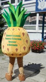 Elabika stroje reklamowe producent Stowarzyszenie Pomocy Dzieciom Ananas