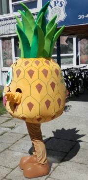 Elabika stroje reklamowe producent Stowarzyszenie Pomocy Dzieciom Ananas