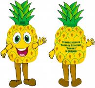 Elabika stroje reklamowe producent Stowarzyszenie Pomocy Dzieciom Ananas - projekt