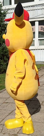 Najnowsze stroje reklamowe producent Elabika Pokémon Pikachu Profi Credit