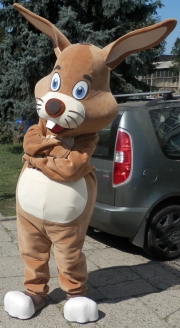 Elabika stroje reklamowe producent Zając Mieszko