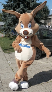 Elabika stroje reklamowe producent Zając Mieszko
