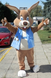 Elabika stroje reklamowe producent Zając Mieszko