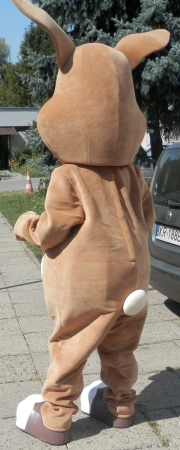Elabika stroje reklamowe producent Zając Mieszko