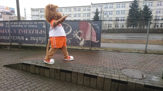 Elabika stroje reklamowe allegro Lew Meritum