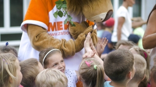 Elabika strój maskotki na zamówienie Lew Meritum