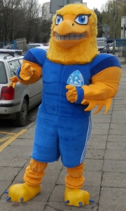Elabika mascot costumes for adults Eagle  Adler Ruch Chorzów