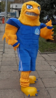 Elabika stroje reklamowe Orzeł Adler Ruch Chorzów