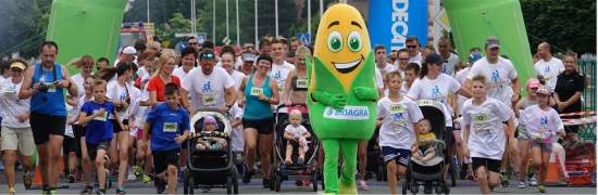 Elabika chodzące maskotki producent Kukurydza Bioagra