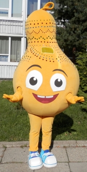 Elabika professional mascot costumes advertising outfits Lampuś