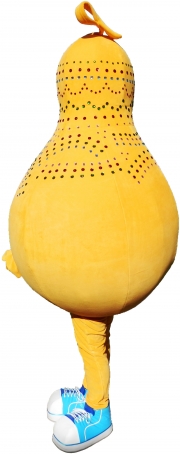 Elabika profesjonalne kostiumy mascot stroje reklamowe Lampuś