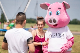 Elabika stroje reklamowe na zamówienie projektowanie Świnia Zyguła