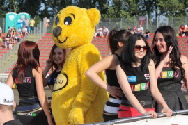 Elabika stroje reklamowe tanio Miś MJ-SPORT