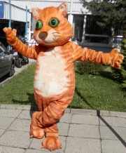 Elabika professional mascot advertising clothes designed Cat …