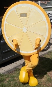 Elabika professional costumes advertising clothes custom-made Lemon
