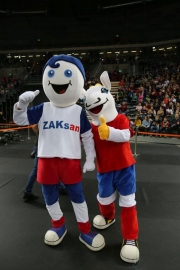 Stroje sportowe reklamowe na zamówienie Elabika Zaksan Grupa Azoty
