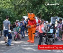 Elabika stroje reklamowe wypożyczalnia projektowane na zamówienie Tygrys GPEC