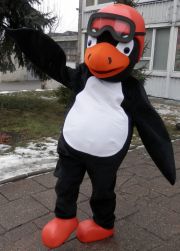 Elabika revitalized advertising clothes Penguin Skizuś Skizy 2016