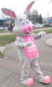 Elabika stroje firmowe Zając Karpacz