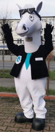Elabika kostiumy reklamowe Koń HORSEmanago 