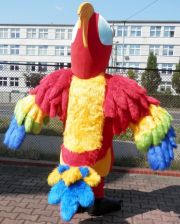 Elabika stroje reklamowe tanio Papuga