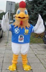 Elabika stroje reklamowe maskotki na zamówienie Kogut Akademia Kolejarz